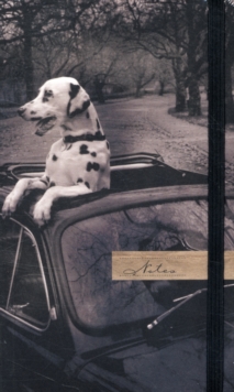 Dalmation in a Car Small Journal with Elastic