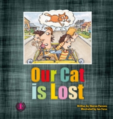 Our Cat is Lost