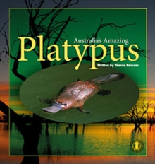 Australia's Amazing Platypus