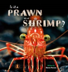Is it a Prawn or a Shrimp?