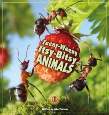 Teeny-Weeny Itsy-Bitsy Animals