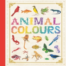First Concept: Animal Colours