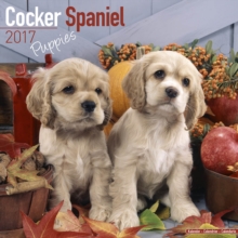 Cocker Spaniel Puppies Calendar 2017