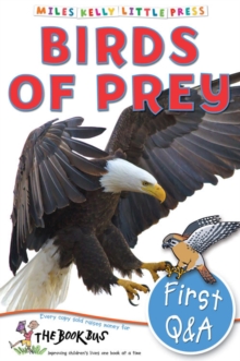 First Q&A Birds of Prey