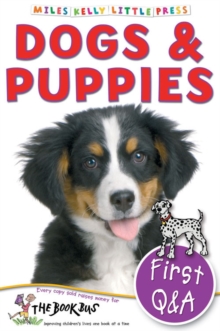 First Q&A Dogs & Puppies