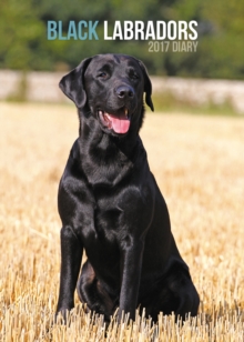 LABRADOR RETRIEVERS BLACK EGMT D