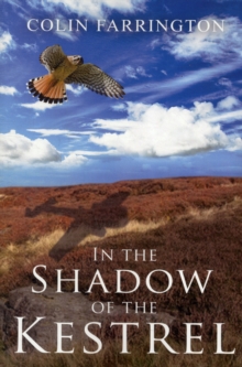 In the Shadow of the Kestrel
