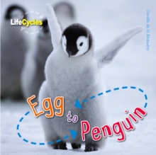 Life Cycles: Egg to Penguin