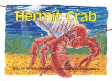 Hermit Crab