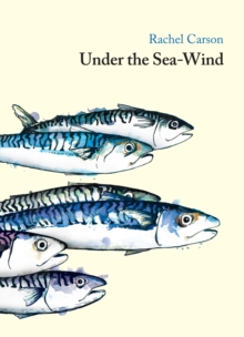 Under the Sea Wind