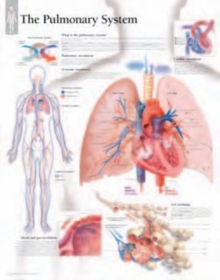 Pulmonary System