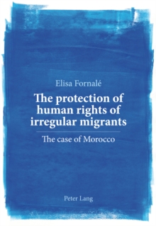 protection of human rights of irregular migrants