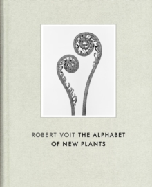 Robert Voit