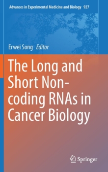 Long and Short Non-Coding Rnas in Cancer Biology
