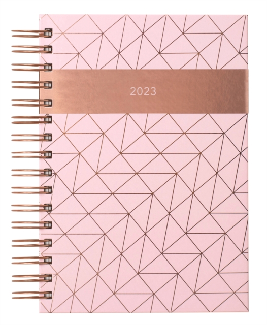 Cover for: Matilda Myres Pink Page-a-Day A5 Diary 2023