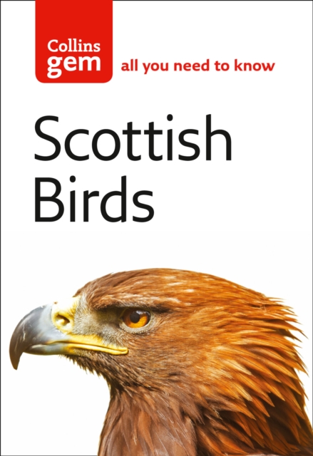 Image for Scottish Birds