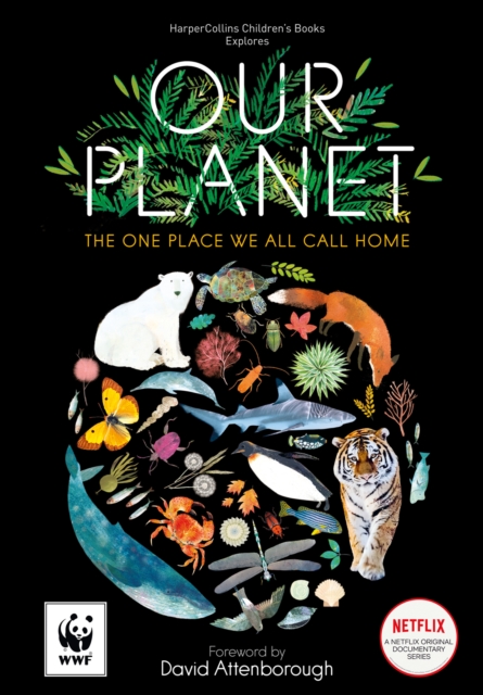 Image for Our Planet : The One Place We All Call Home