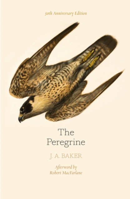 Cover for: The Peregrine: 50th Anniversary Edition : Afterword by Robert Macfarlane