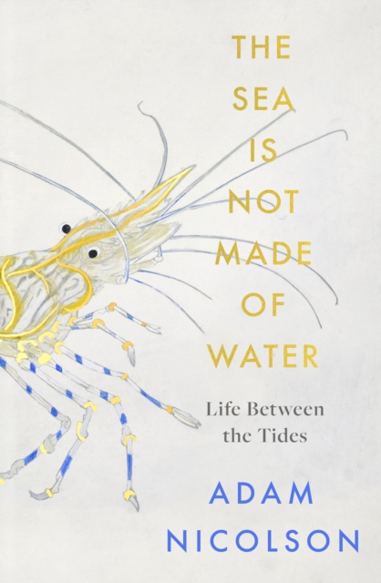 Image for the sea is not made of water : Life Between the Tides