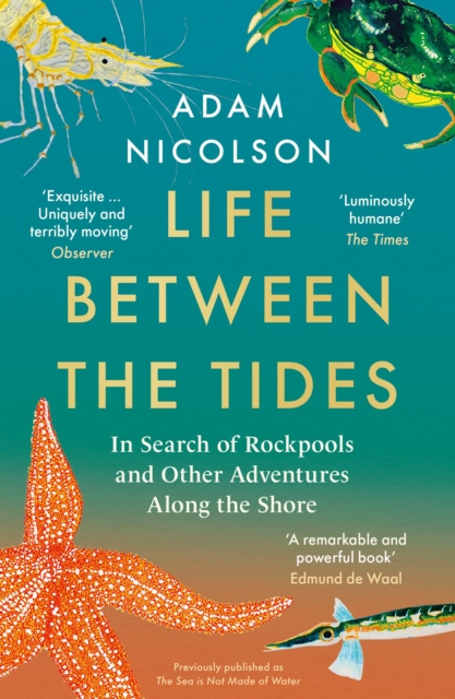 Image for Life Between the Tides : In Search of Rockpools and Other Adventures Along the Shore