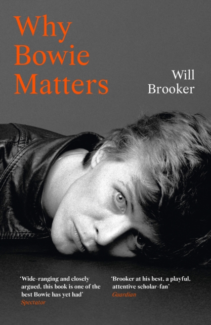 Image for Why Bowie Matters