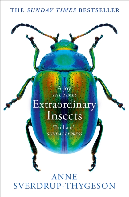 Image for Extraordinary Insects : Weird. Wonderful. Indispensable. the Ones Who Run Our World.