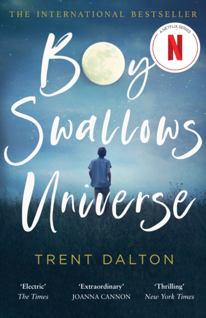 Image for Boy Swallows Universe