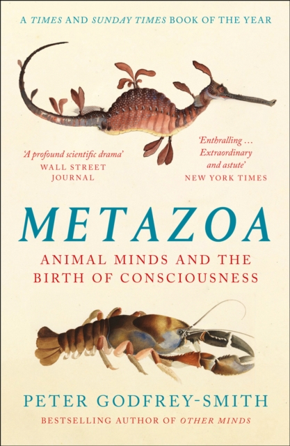 Image for Metazoa : Animal Minds and the Birth of Consciousness