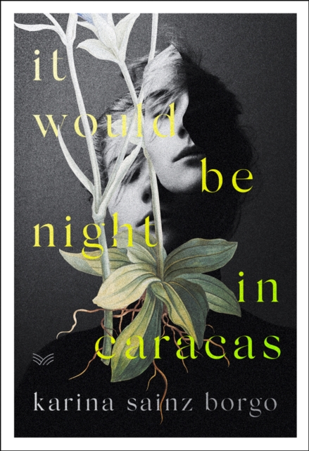 Image for It Would Be Night in Caracas