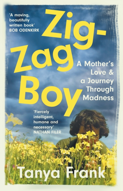 Image for Zig-Zag Boy : A Mother’s Love & a Journey Through Madness