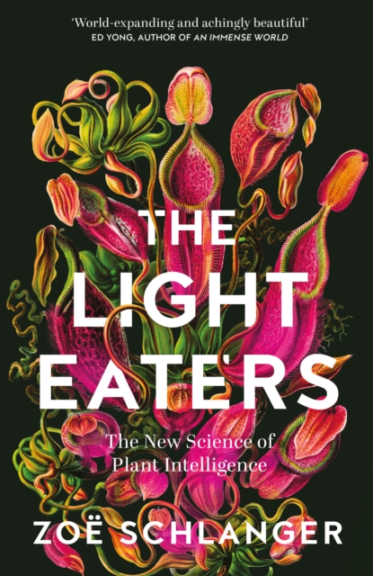 Image for The Light Eaters