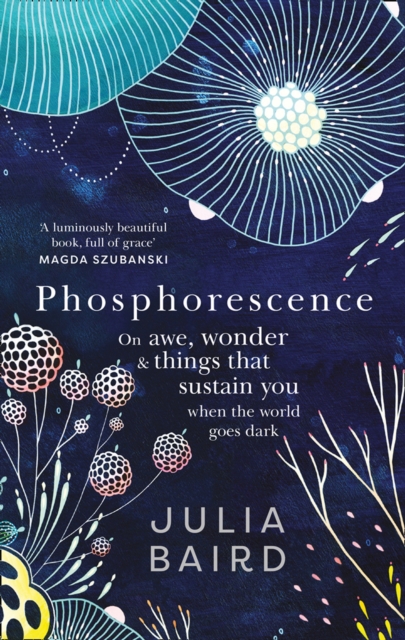 Cover for: Phosphorescence : On Awe, Wonder & Things That Sustain You When the World Goes Dark