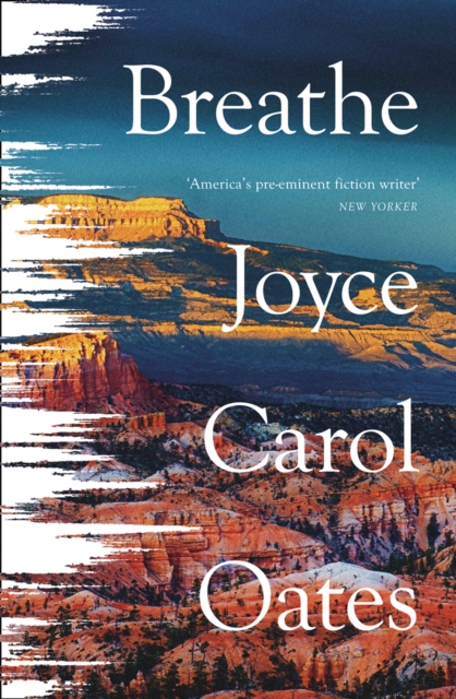 Cover for: Breathe