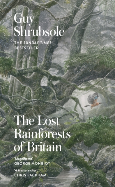 Image for The Lost Rainforests of Britain