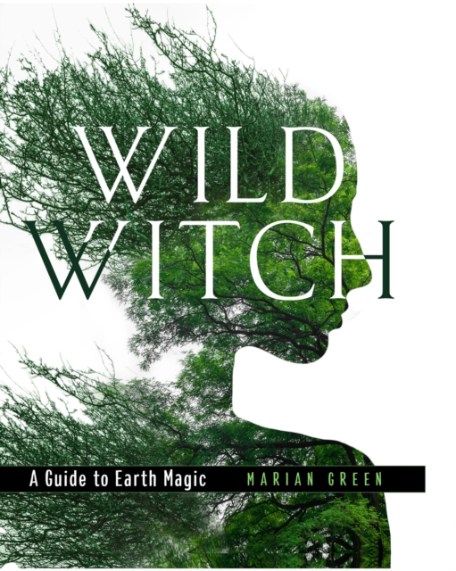 Image for Wild Witch : A Guide to Earth Magic