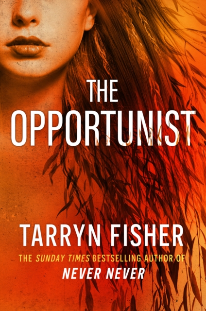 Image for The Opportunist : Book 1