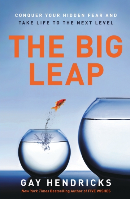 Image for The Big Leap : Conquer Your Hidden Fear and Take Life to the Next Level