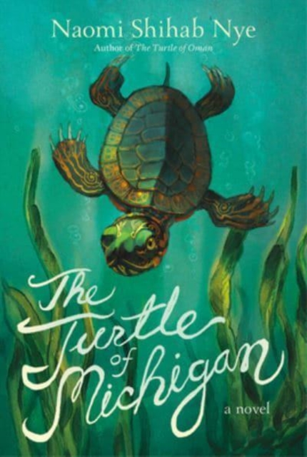 Image for The Turtle of Michigan : A Novel