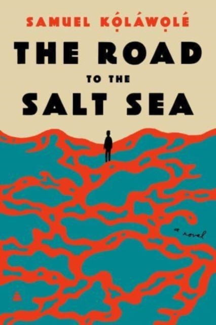 Image for The Road to the Salt Sea : A Novel