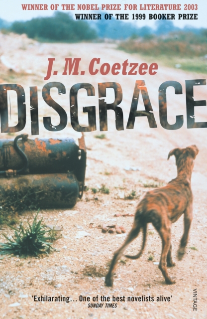 Image for Disgrace : A BBC Radio 4 Good Read