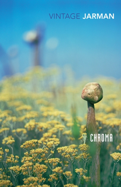 Image for Chroma : A Book of Colour - June '93