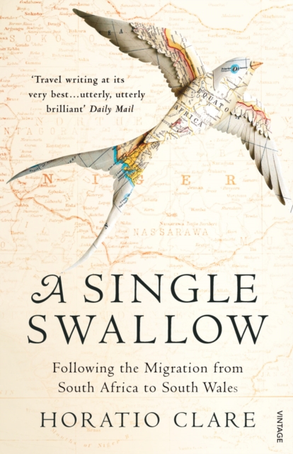 Cover for: A Single Swallow : Following An Epic Journey From South Africa To South Wales