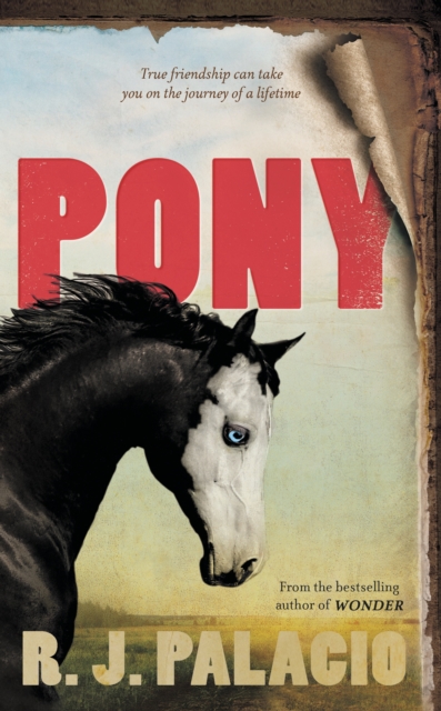 Image for Pony : from the bestselling author of Wonder