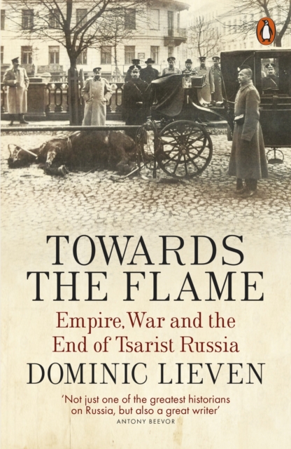 Image for Towards the Flame : Empire, War and the End of Tsarist Russia