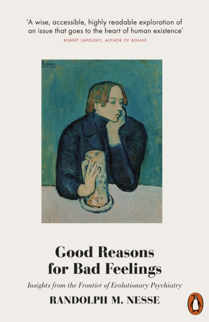 Image for Good Reasons for Bad Feelings : Insights from the Frontier of Evolutionary Psychiatry