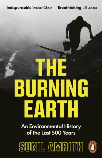 Image for The Burning Earth : An Environmental History of the Last 500 Years