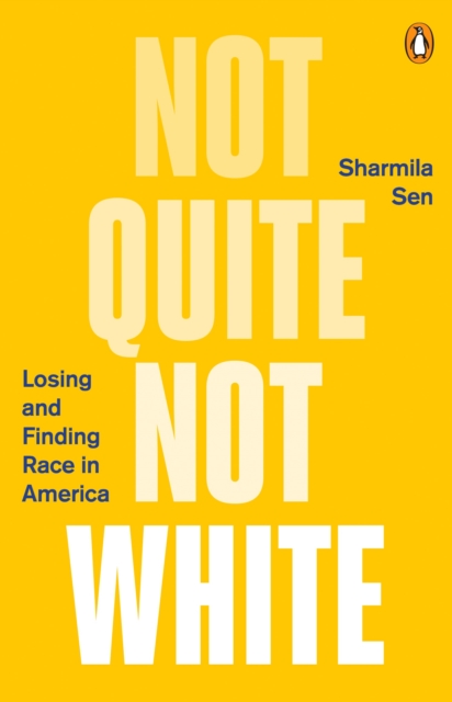 Image for Not Quite Not White : Losing and Finding Race in America