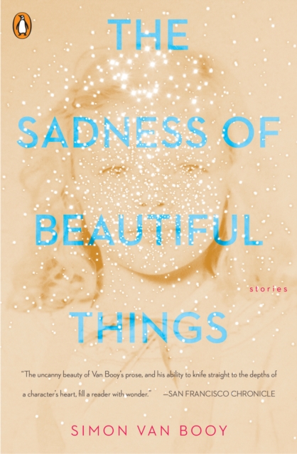 Image for The Sadness Of Beautiful Things : Stories