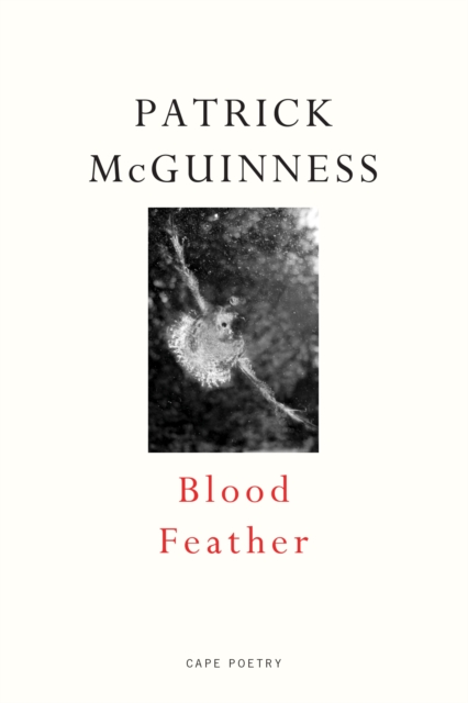 Image for Blood Feather : 'He writes with Proustian elan and Nabokovian delight' John Banville