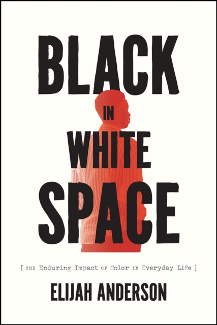 Cover for: Black in White Space : The Enduring Impact of Color in Everyday Life